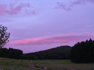 CMH,GreatWideOpen,sm